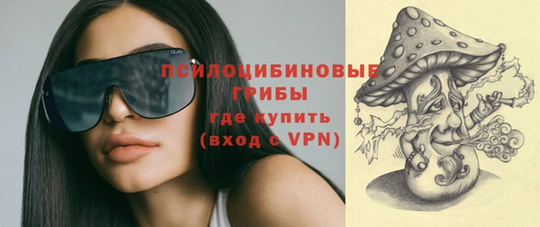 гашик Вязники