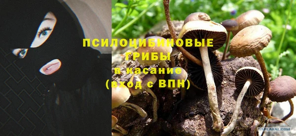 гашик Вязники