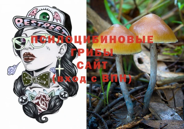 прущая мука Вяземский